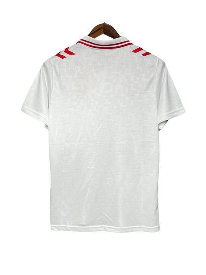 Denmark Euro II 2024 - Fan Version